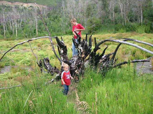 [Cascade springs (25)[2].jpg]