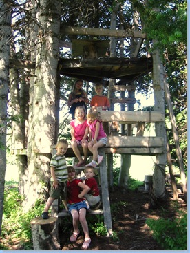 cabin (72)