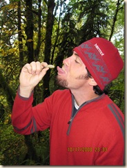 Geyser in the fall (18)