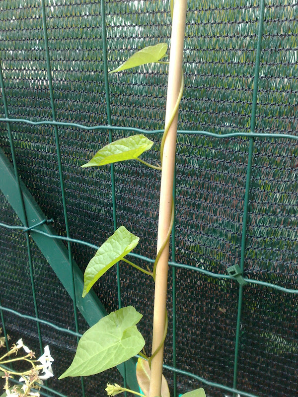 23052008287.jpg