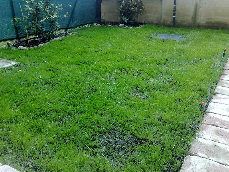 07062008328.jpg