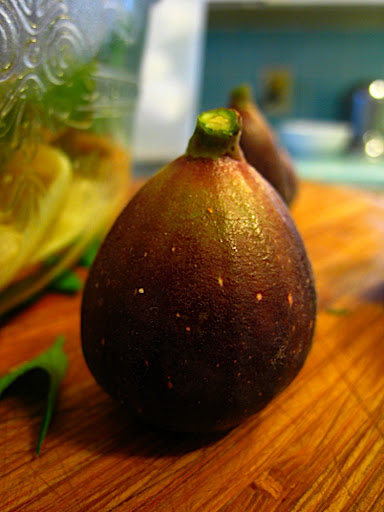 pulled from a friendly neighbors tree