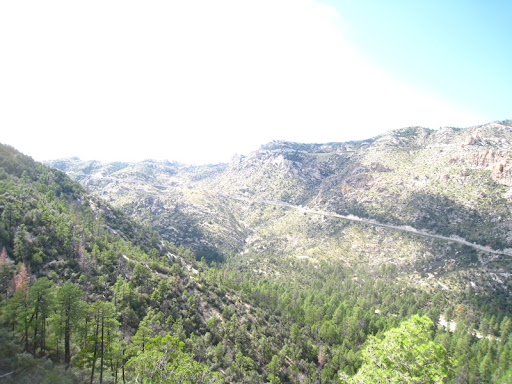 Catalina Highway from the top of Bugs Catalina Highway from the top of Bugs