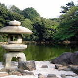 Shinjuku Gyoen National Park in April 2007