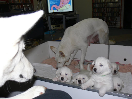 Meeting the big sis