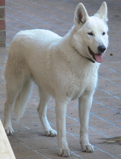 Freyja at one
