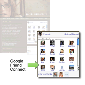 [google_friend_connect[4].gif]