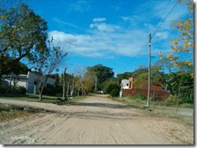HPIM3708