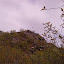 Hiking &ndash; 