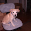 Lando &ndash; 