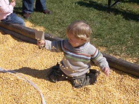 [miles cornpit[2].jpg]