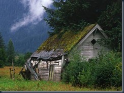 clip_image003