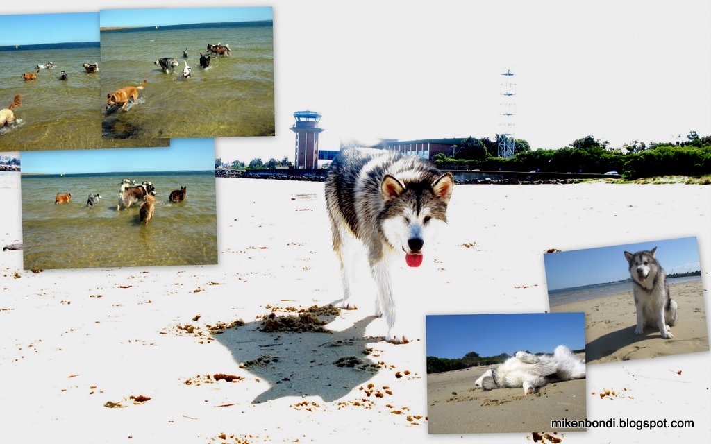 [20081016 Beach - Munson is 6 months-1[3].jpg]