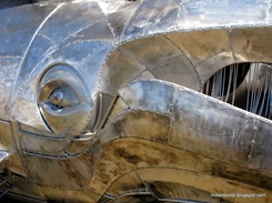 Whale eye
