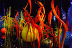 DSC_6657.JPG