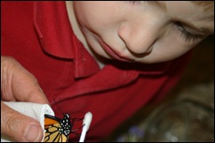 080917Backpack&Butterfly 073