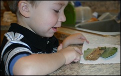 080831Caterpillar 014