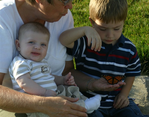 [080918Butterfly Go 032[4].jpg]