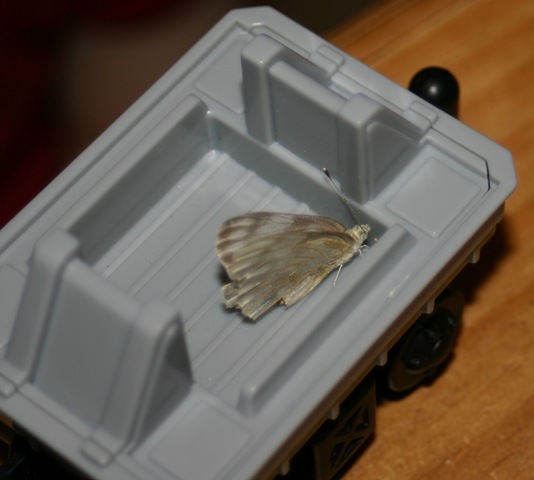 [080727 4th Parade 089[3].jpg]