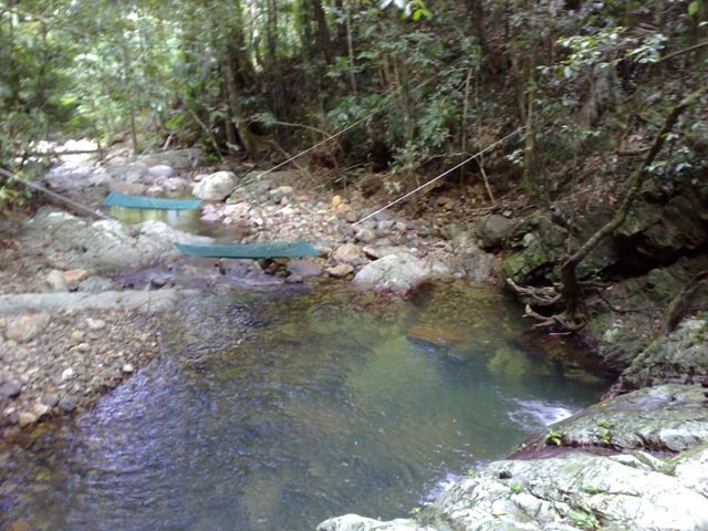 [02042008761[2].jpg]