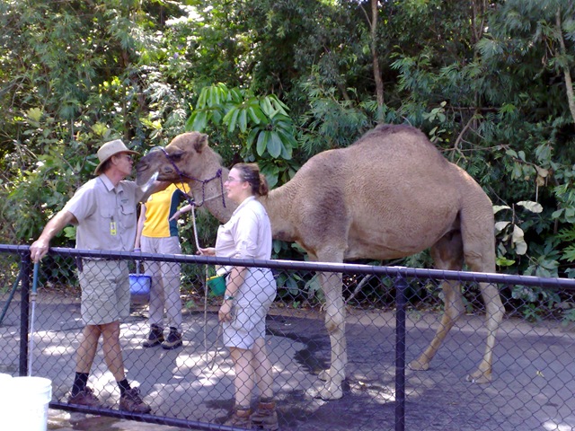 [03042008825[2].jpg]