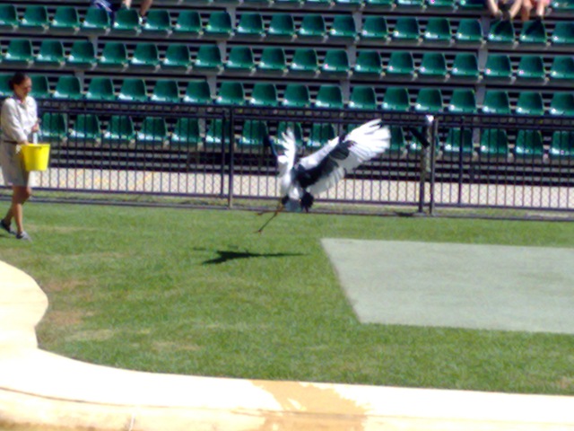 [03042008851[2].jpg]