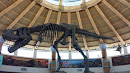 Visitor Center T-Rex