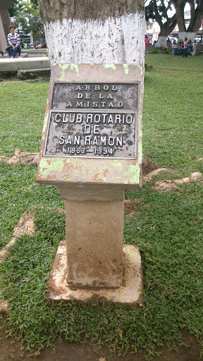 Árbol De La Amistad, Club Rotario De San Ramón