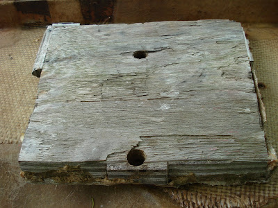 DSC02440.JPG