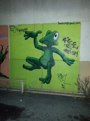 The Sacred Frog Mural