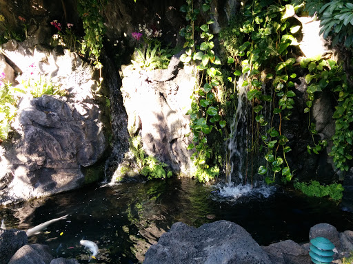 Princess Kaiulani Fountain 