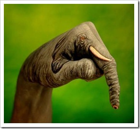 150w Other Elephant Hand