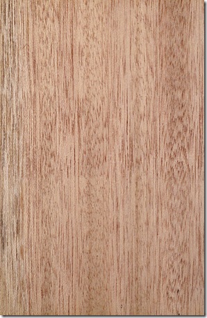 light red meranti