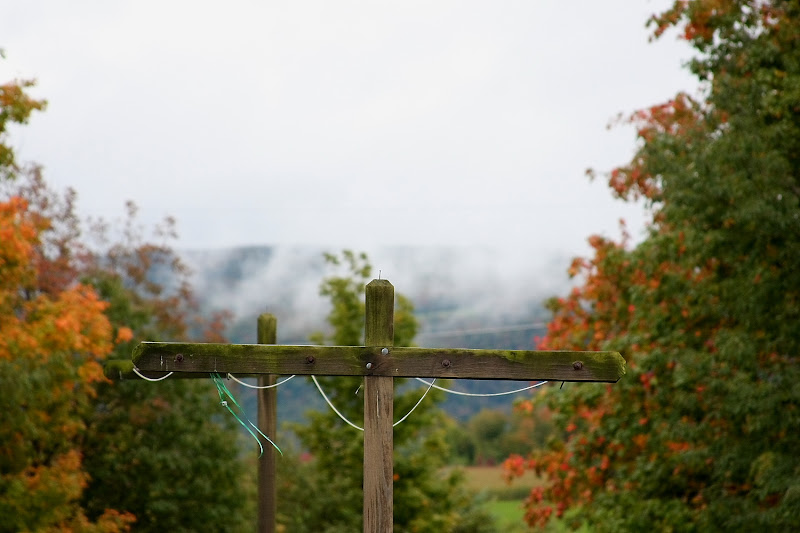 IMAGE: http://lh4.ggpht.com/morrow373/SOBaXqSF5YI/AAAAAAAABsk/_vCHmVxYTjM/s800/IMG_1245.JPG