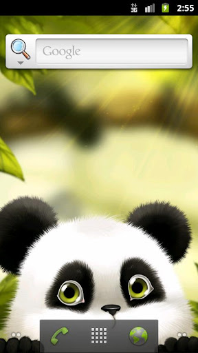 Panda Chub Live Wallpaper Free