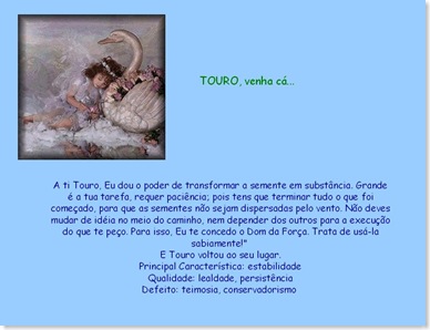 Touro Neide 2