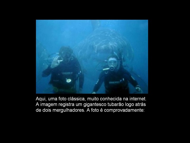 [fotos1falsa3.jpg]