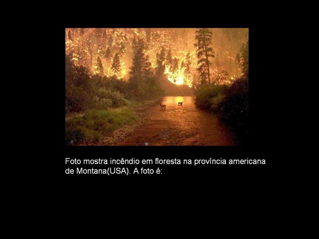 [fotos2verdadeira9.jpg]