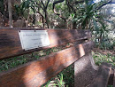Rosemary Holcroft  Memorial Bench