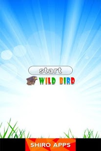 How to download Jungle Bird Matching for Kids 1.0 unlimited apk for android