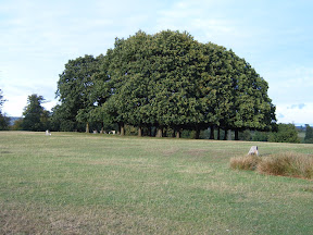 S4300427.JPG 
