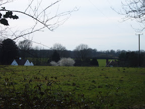 S4301740.JPG 