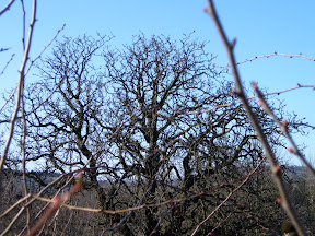 S4301173.JPG 