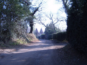 S4300913.JPG 