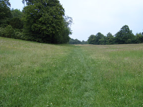 S4302089.JPG 