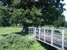 S4302071.JPG Bridge over a brook
