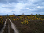 S4300059.JPG 