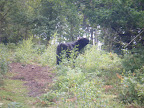 DSCF1092.JPG 