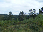 DSCF1089.JPG 