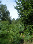 DSCF1119.JPG 